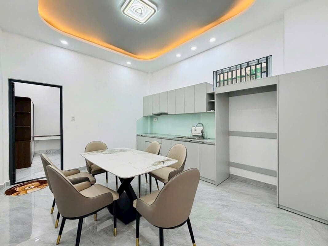 NHÀ PHỐ DIỆN TÍCH KHỦNG THỐNG NHẤT, P16, GÒ VẤP - ảnh 11