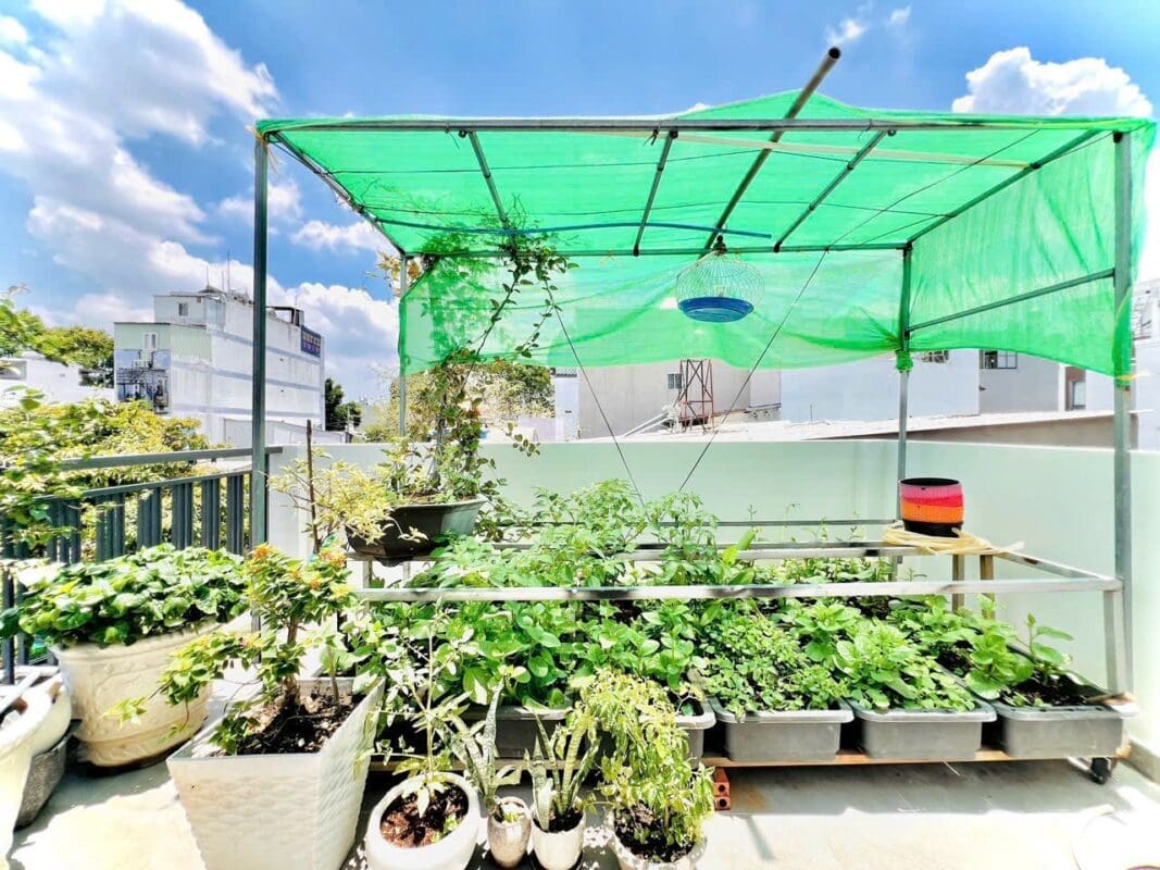 CĂN GÓC 2 MẶT TIỀN THOÁNG HXH ĐẬU CỬA – HẺM THÔNG TỨ PHÍA ĐƯỜNG SỐ 4 P16 GÒ VẤP - ảnh 25