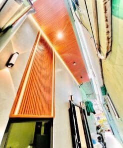 MINI HOUSE NHỎ XINH TẠI THỐNG NHẤT P16 GÒ VẤP